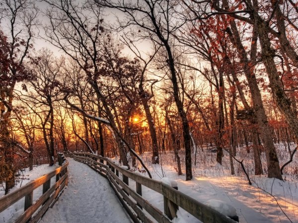 Ранняя зима