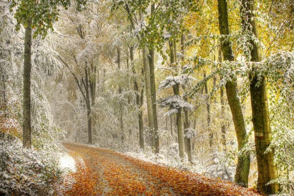 Ранняя зима