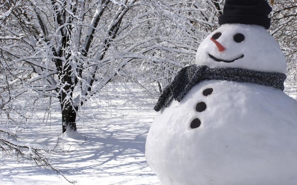 Зима смешные