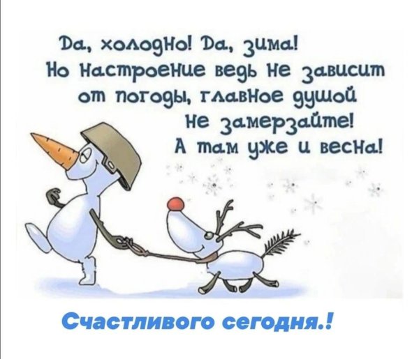 Зима смешные