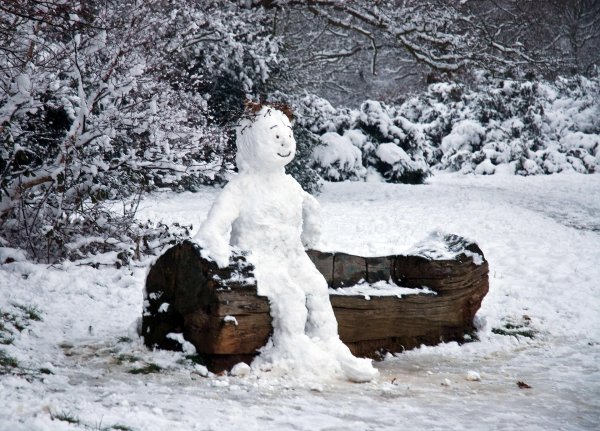 Зима смешные