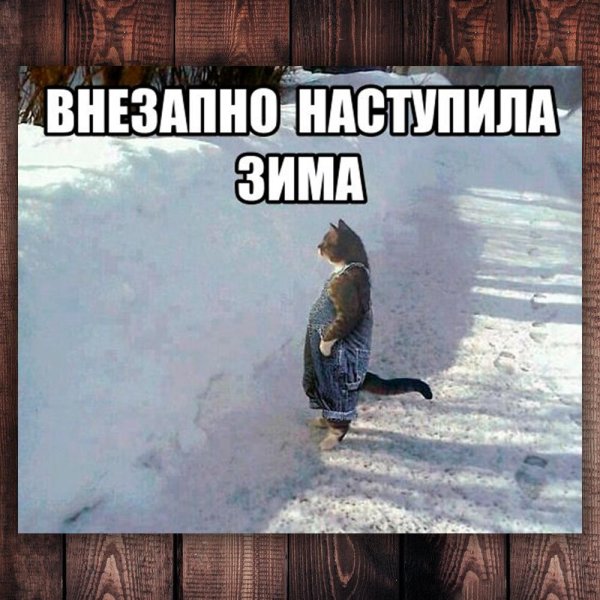 Зима смешные