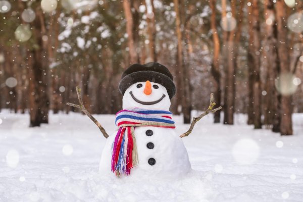 Зима смешные