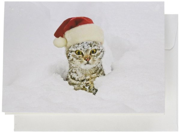 Зима смешные