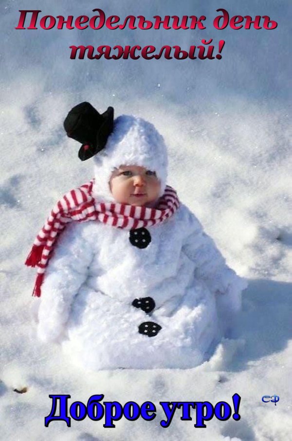 Зима смешные