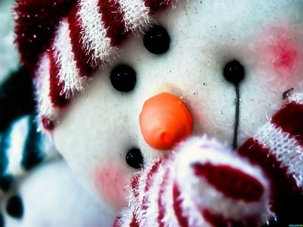 Зима смешные