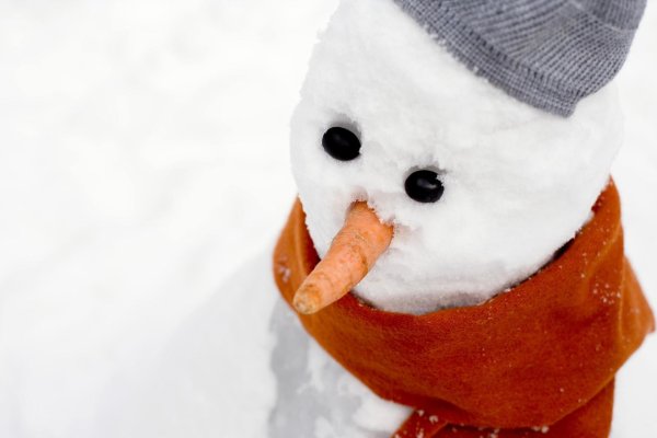 Зима смешные