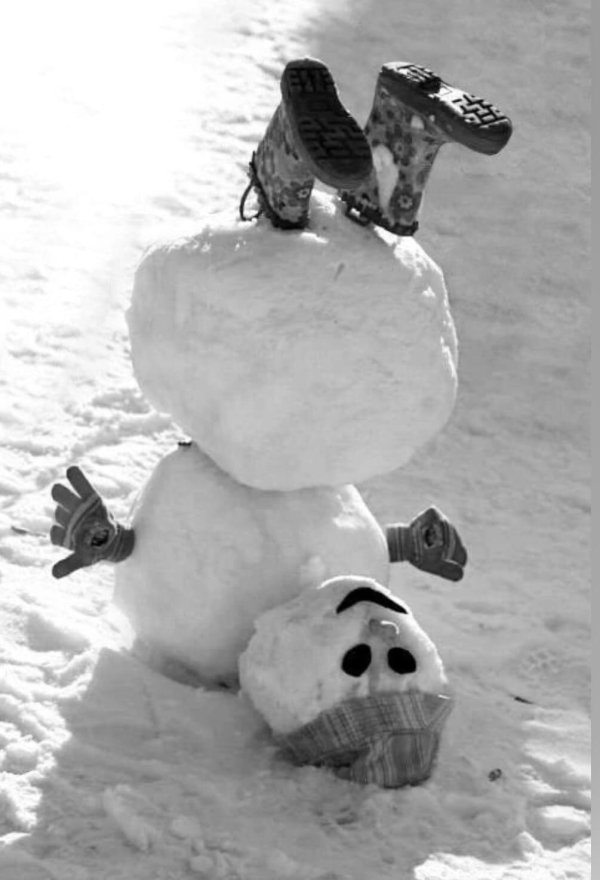 Зима смешные