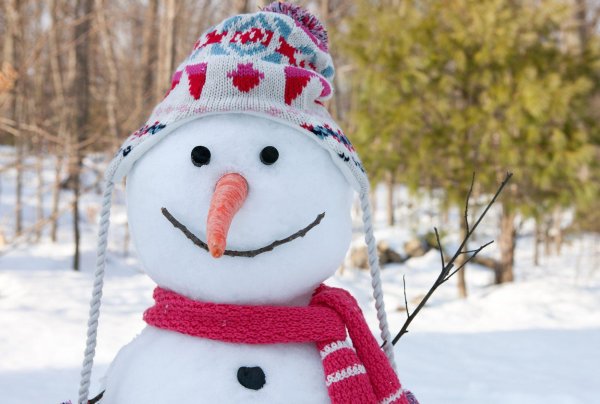 Зима смешные