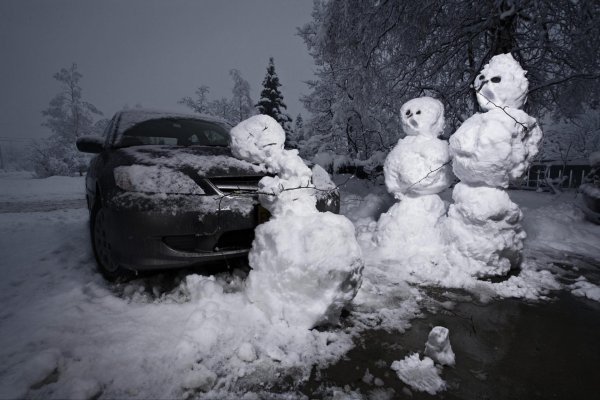 Зима смешные