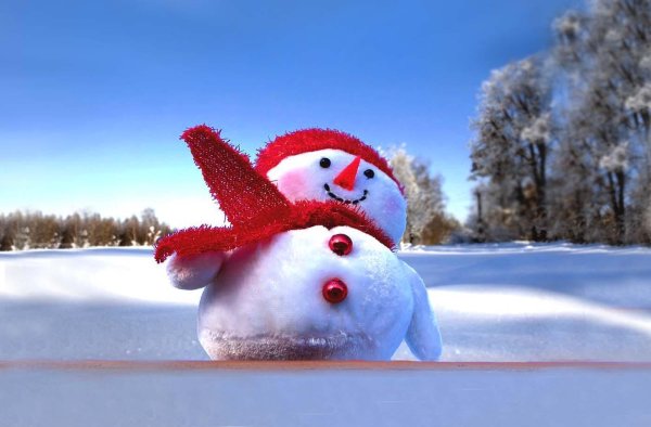 Зима смешные