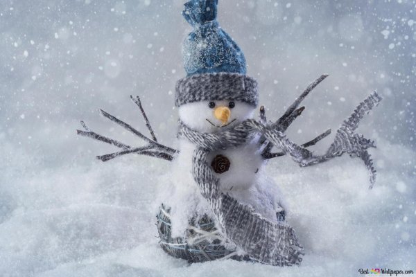 Зима смешные