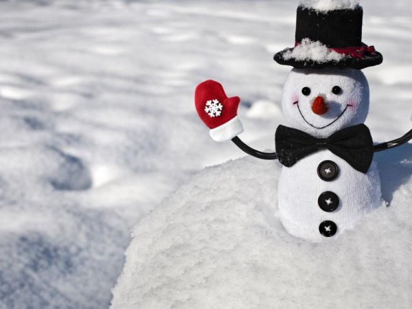 Зима смешные