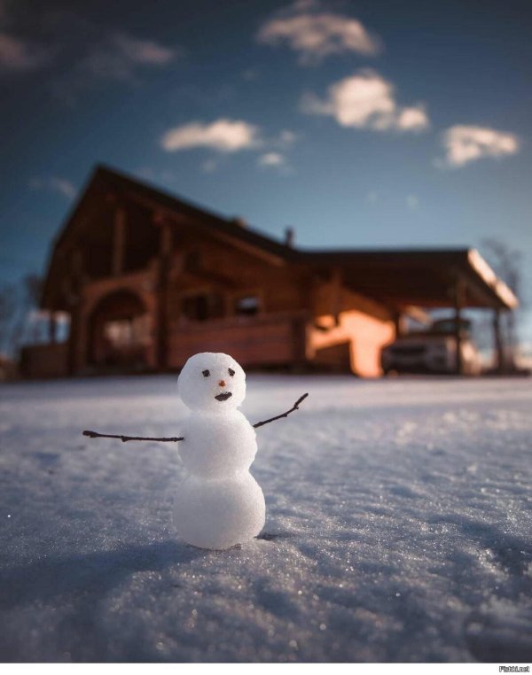 Зима смешные