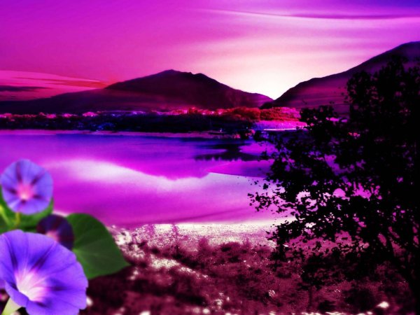 фиолетовая природа