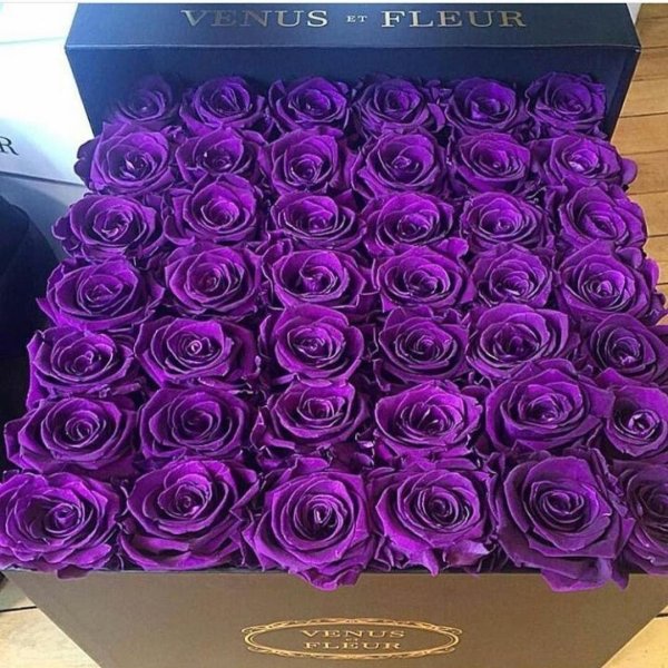 фиолетовая коробка