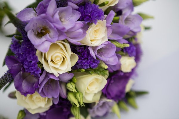 эустома сиреневая