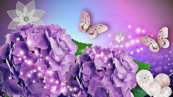 цветок гортензии