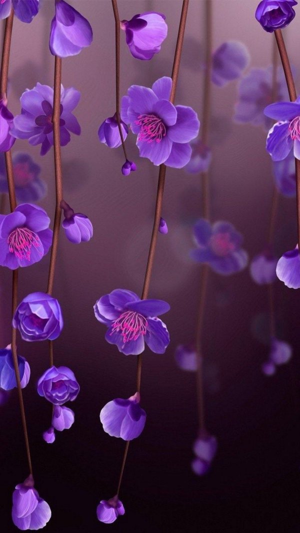 цветок фиолетового цвета