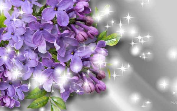 сирень сирень