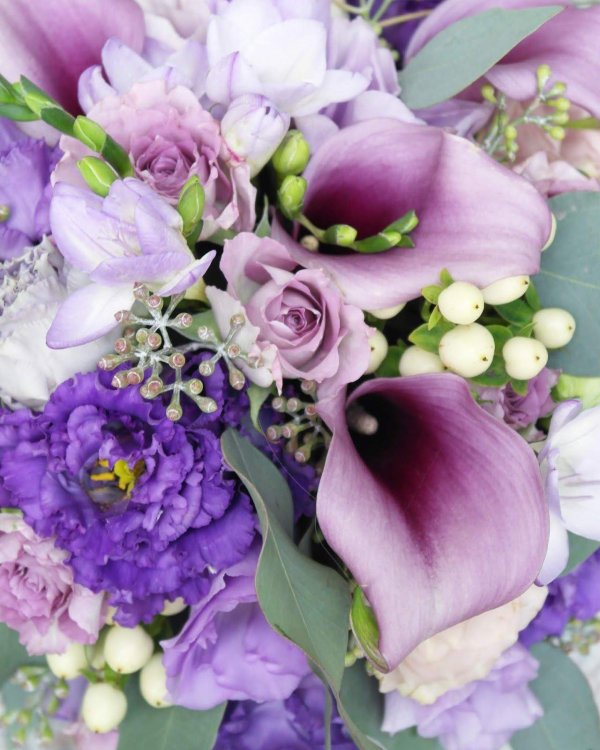 фиолетовые букеты