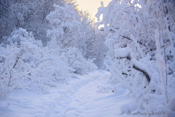 Зима сугробы