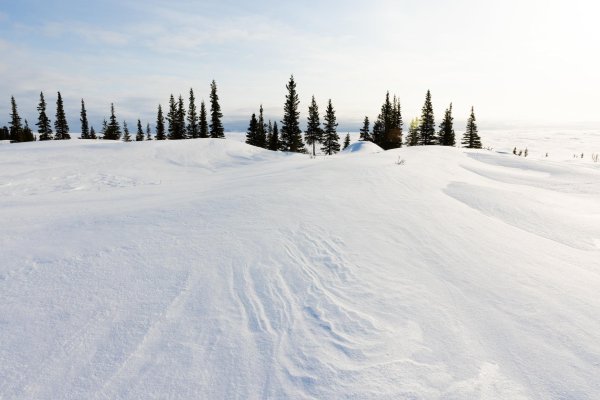 Зима сугробы