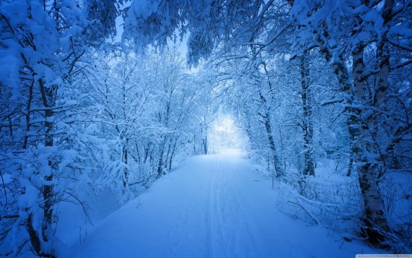 Зима сугробы