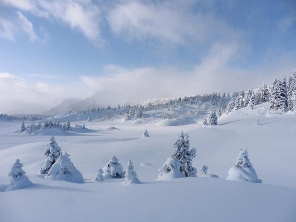 Зима сугробы