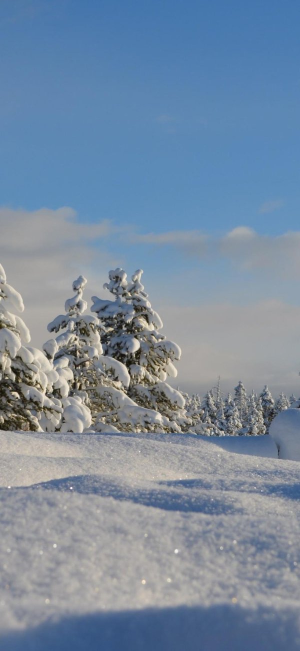 Зима сугробы