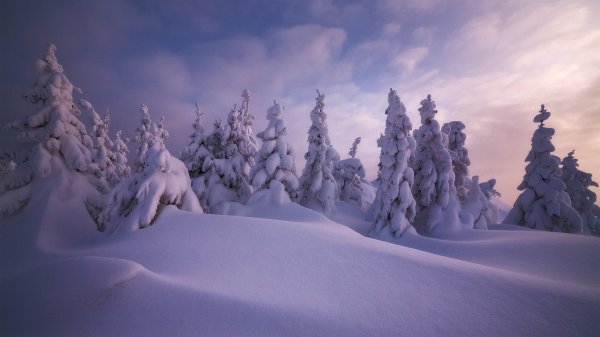 Зима сугробы