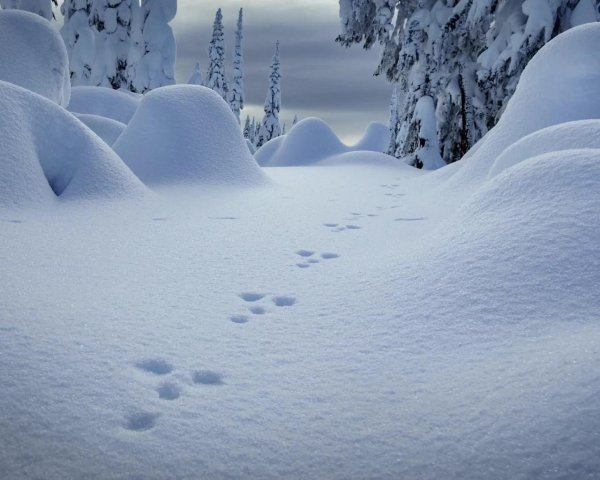 Зима сугробы