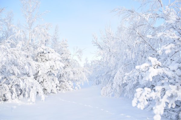 Зима сугробы