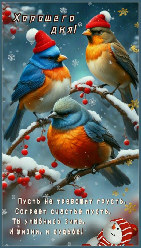 Зима и птицы