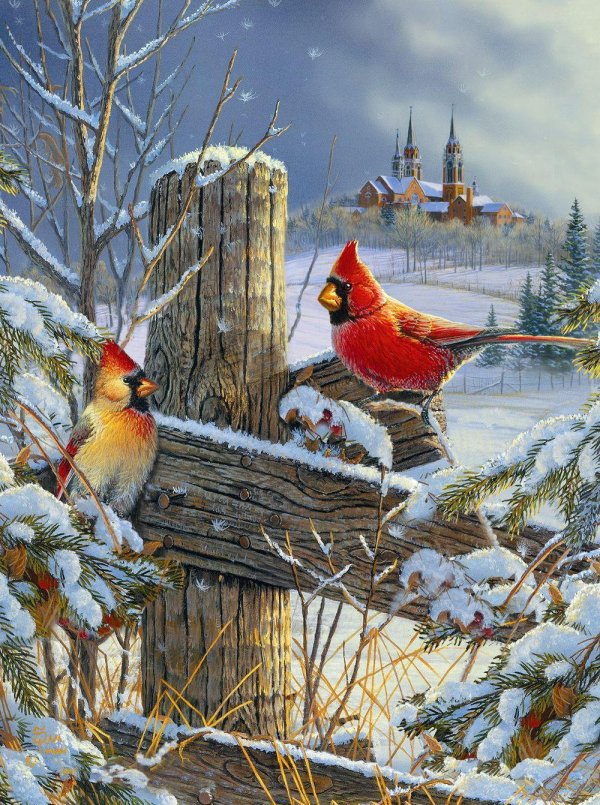 Зима и птицы