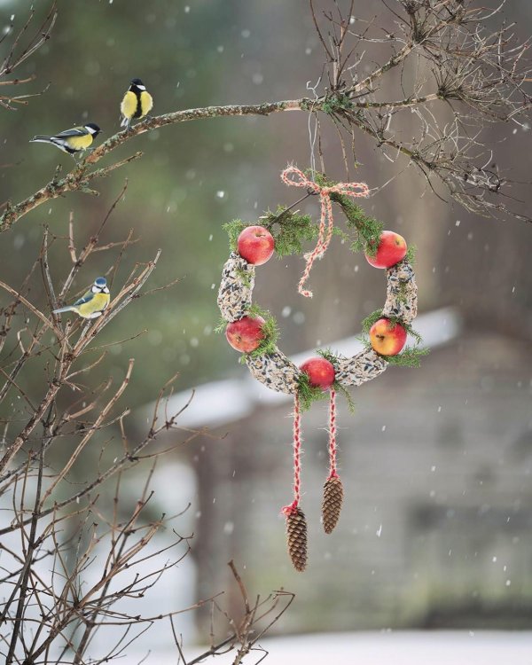 Зима и птицы