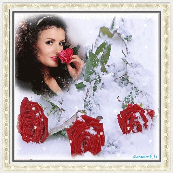 Зима и розы