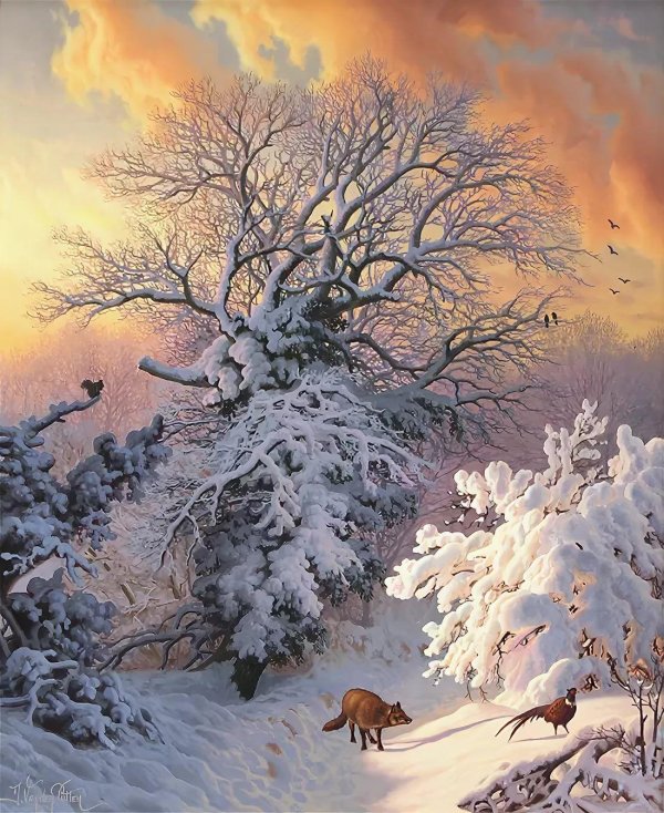 Зима пейзажи животные