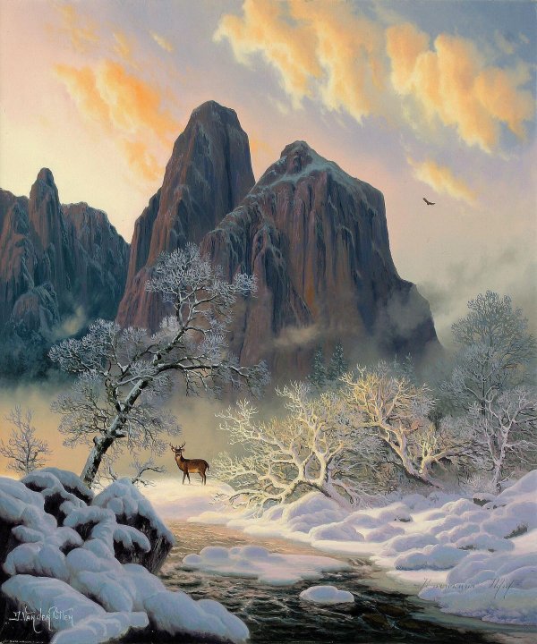 Зима пейзажи животные