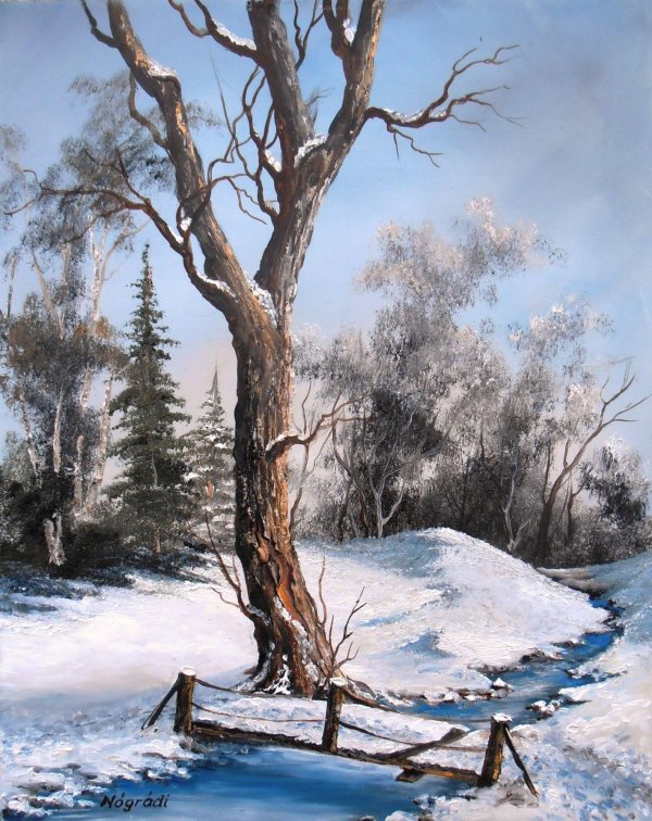 Зима пейзажи животные