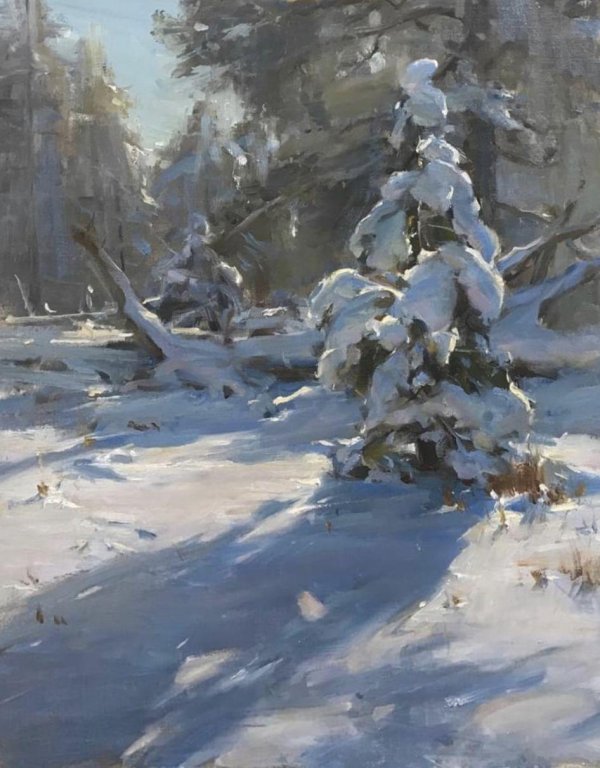 Зима пейзажи животные