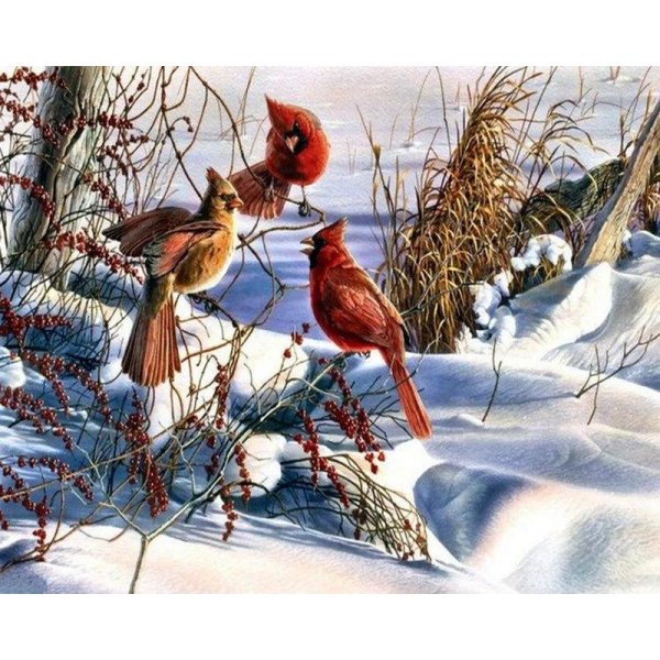 Зима пейзажи животные