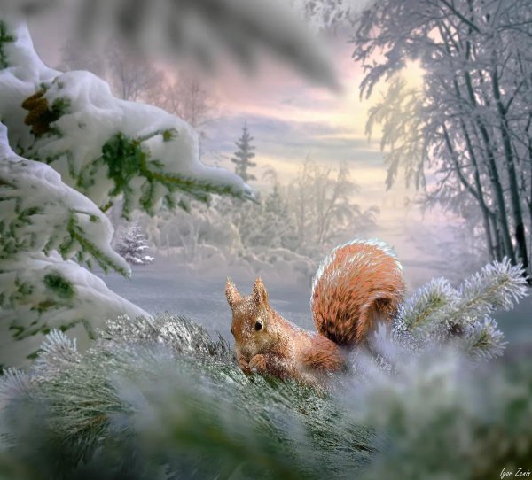 Зима пейзажи животные