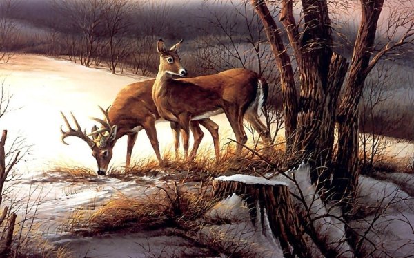 Зима пейзажи животные