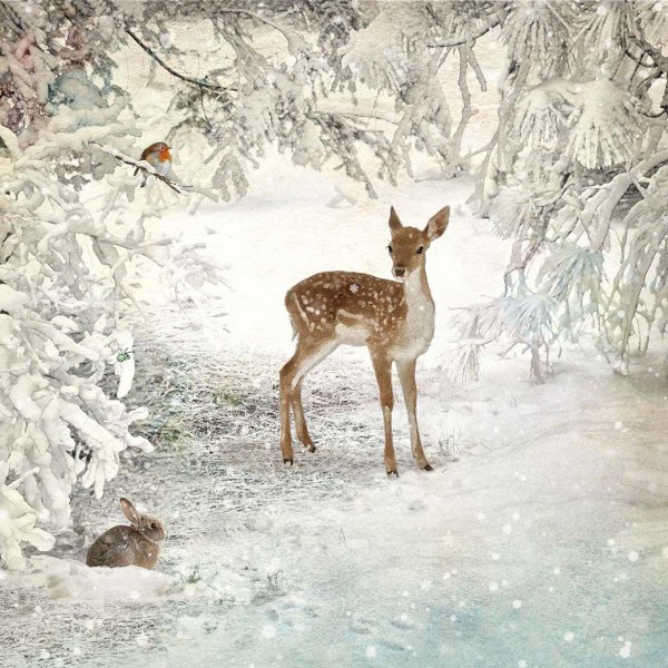 Зима пейзажи животные