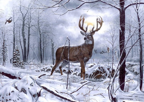 Зима пейзажи животные