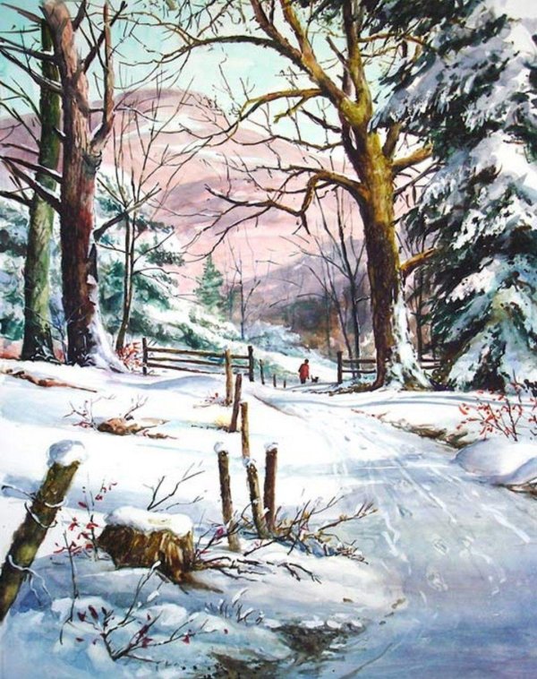 Зима пейзажи животные