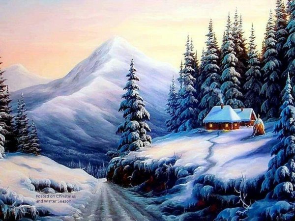 Зима пейзажи животные