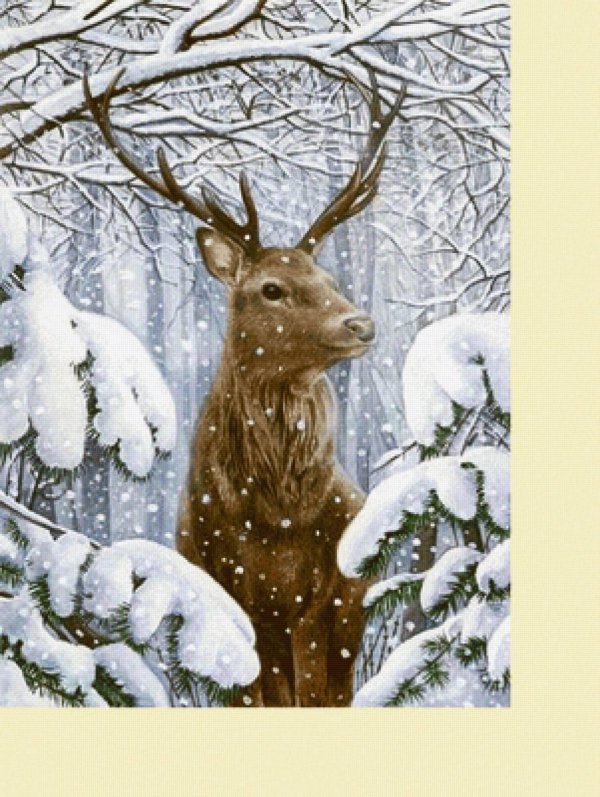 Зима пейзажи животные