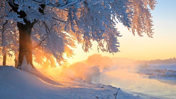 Зима пейзажи животные